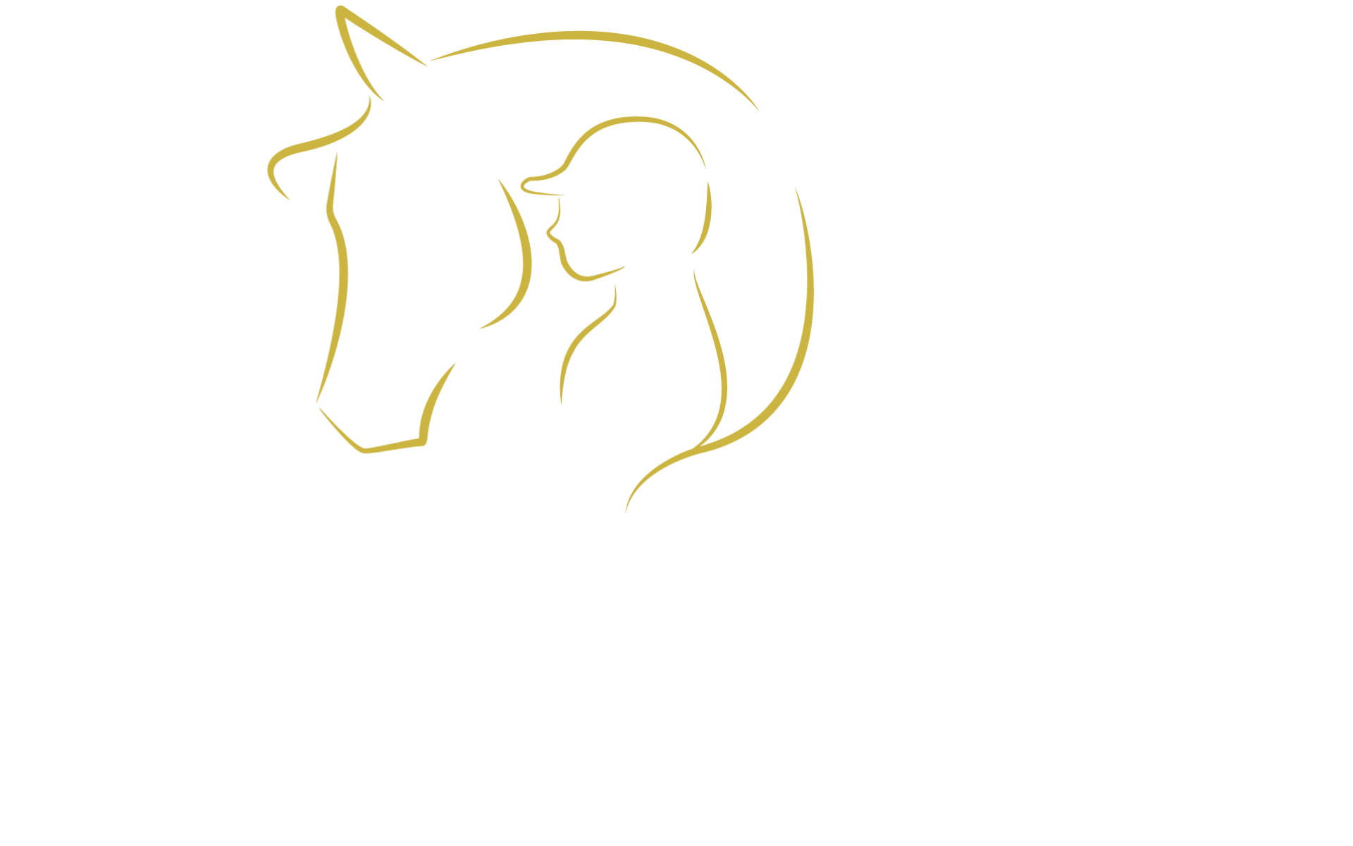 Horse and Talent